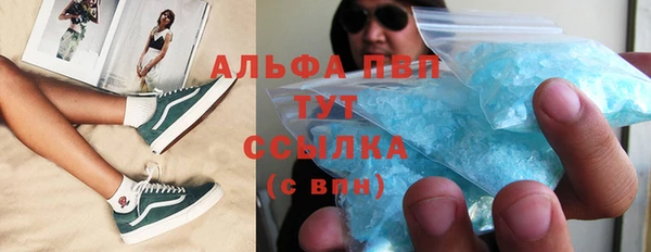 сатива Алзамай