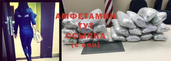 сатива Алзамай