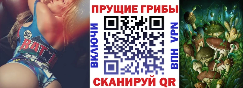 Псилоцибиновые грибы MAGIC MUSHROOMS Чебаркуль